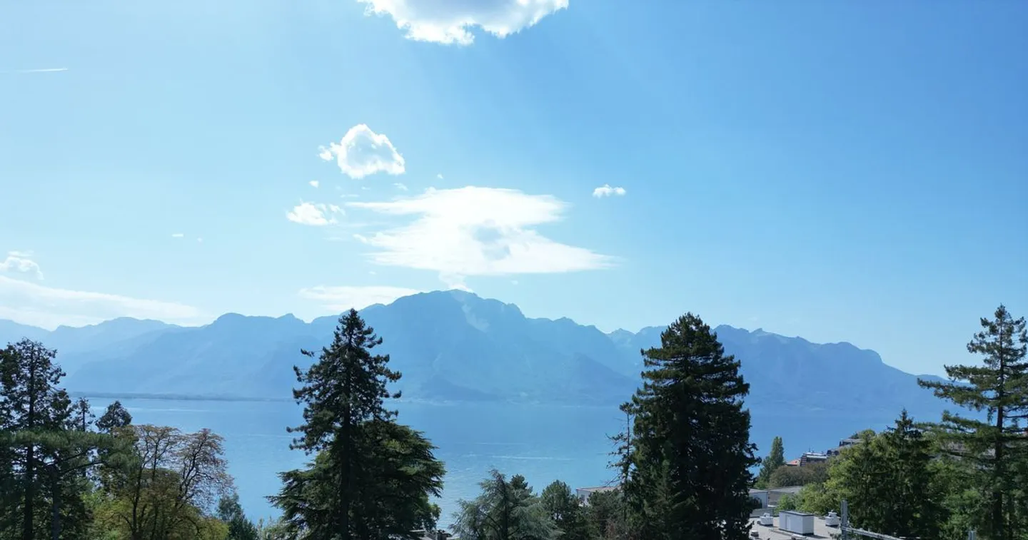 SPACIEUX APPARTEMENT DE 4,5 PIECES ENTIEREMENT RENOVE AVEC TRES BELLE VUE  - Foto 6 di 13