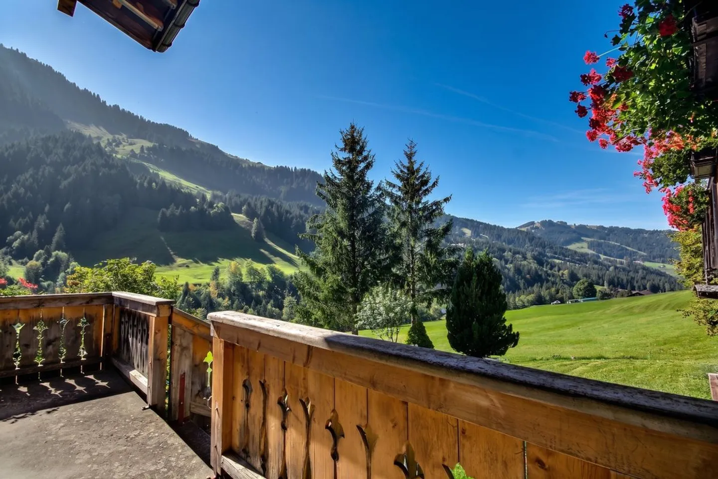 Großes Grundstück zu verkaufen, das 2 Chalets umfasst! - Foto 8 von 12