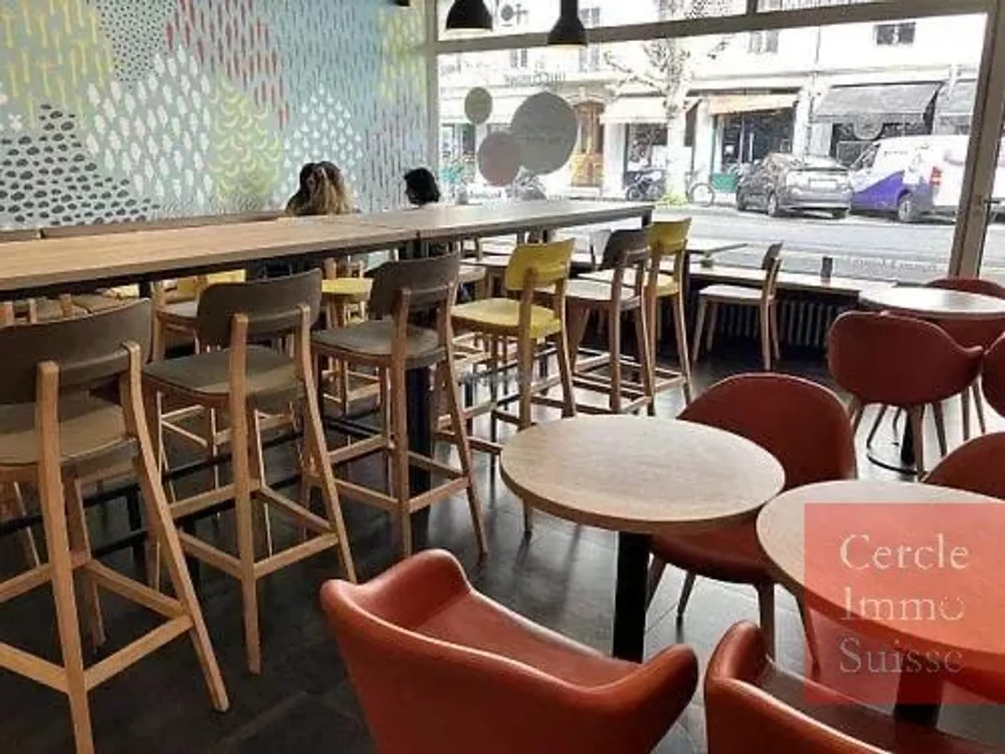 À VENDRE : Restaurant Végétarien Unique – PLAINPALAIS (GENÈVE) - Photo 2 sur 6