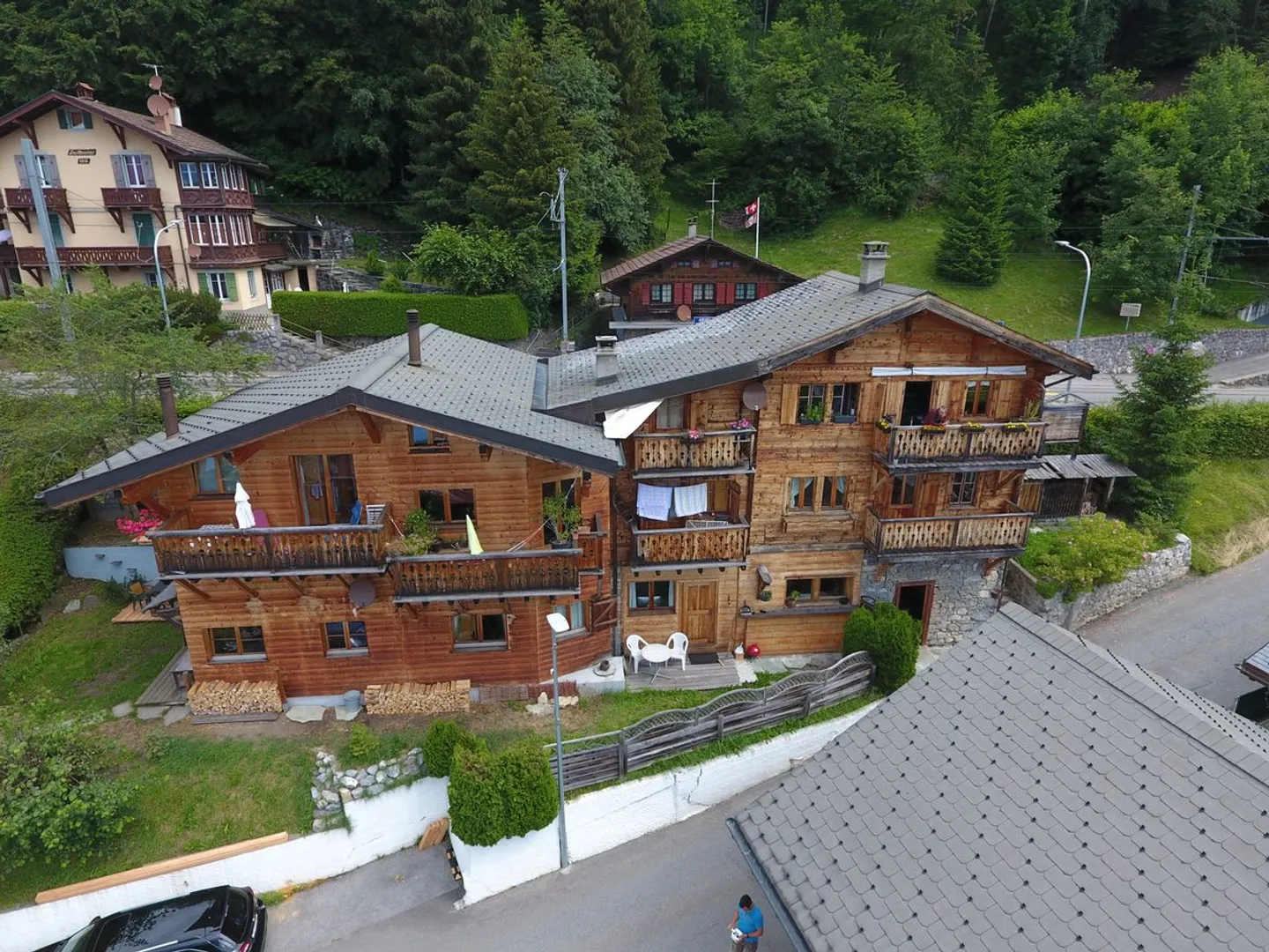 Arveyes semi-chalet with unobstructed view, garden, balconies - Photo 1 of 11