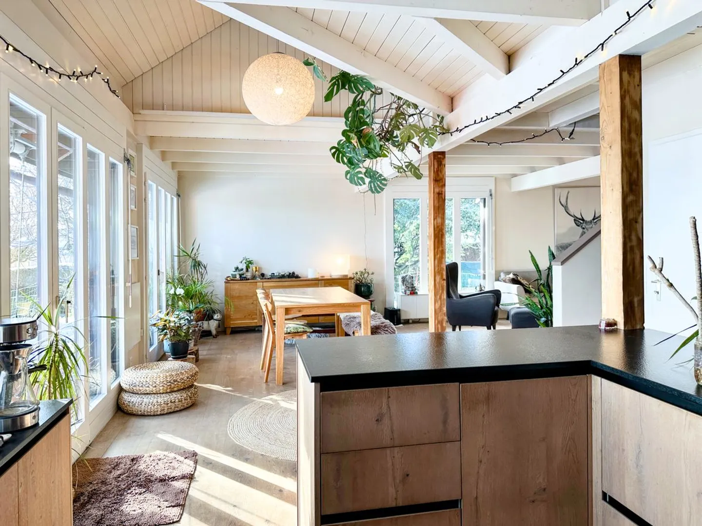 Individual Villa with a View of Mont-Blanc - Photo 4 of 13