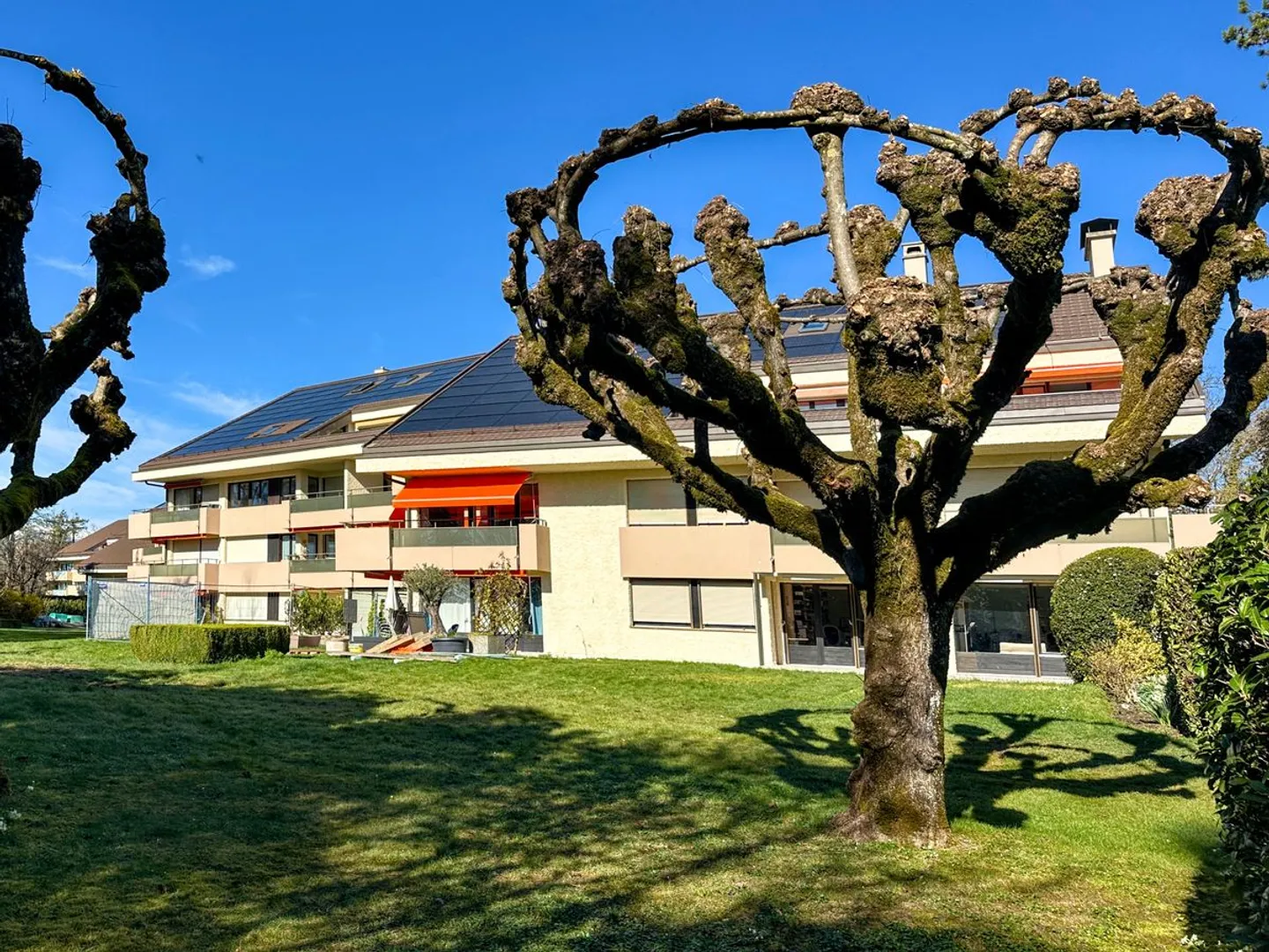 2,5 pièces dans un écrin de verdure à deux pas de la gare - Photo 6 sur 12