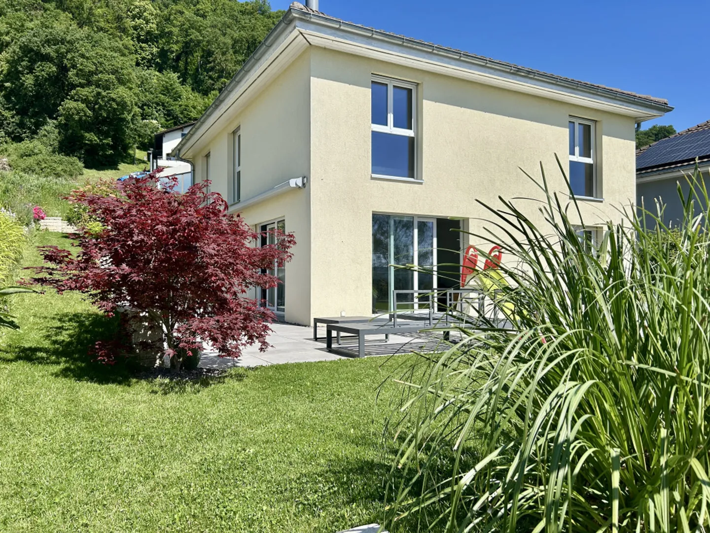 Magnifique et rare - Foto 1 di 10