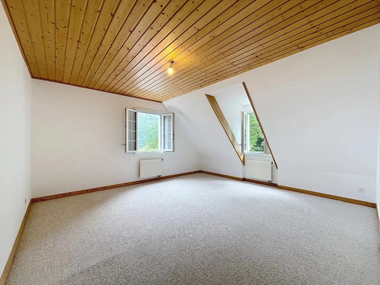 Flucht in die Höhen von Montreux - Foto 13 von 13