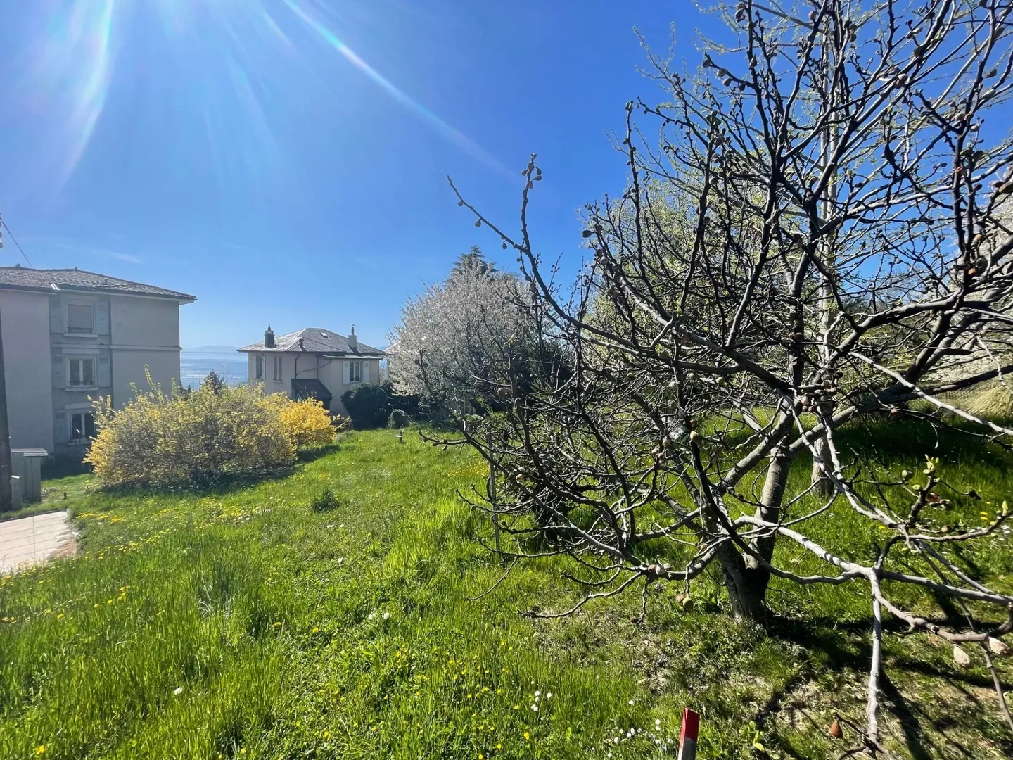 Elegance and comfort on the garden level - Photo 2 of 3