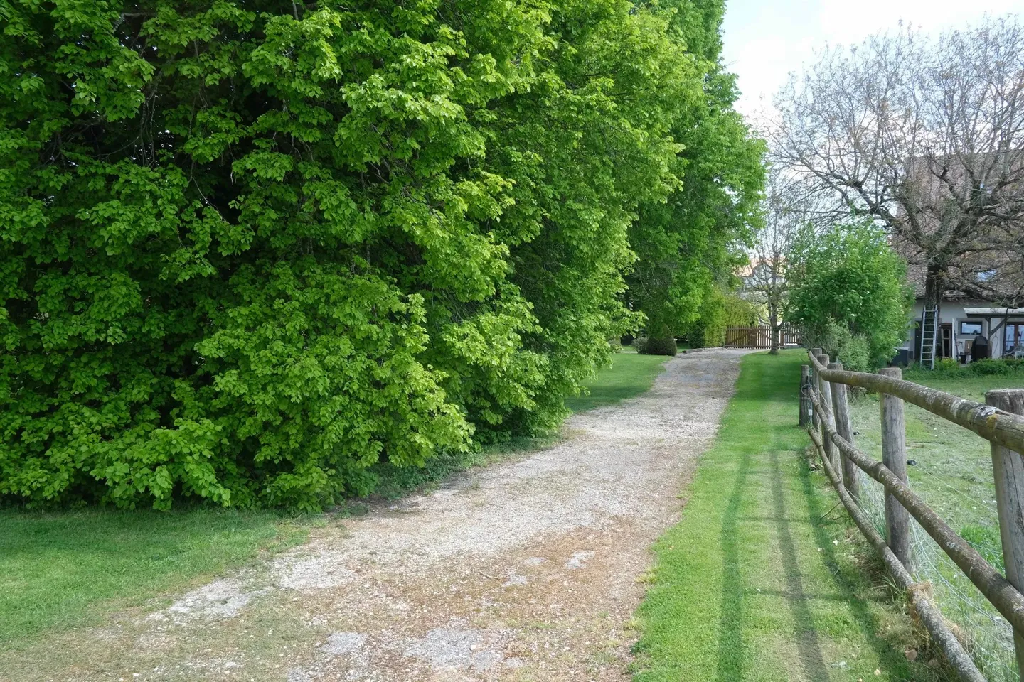 Magnificent land for 1 to 3 villas - 540 spb with park and dressage area - Photo 4 of 5