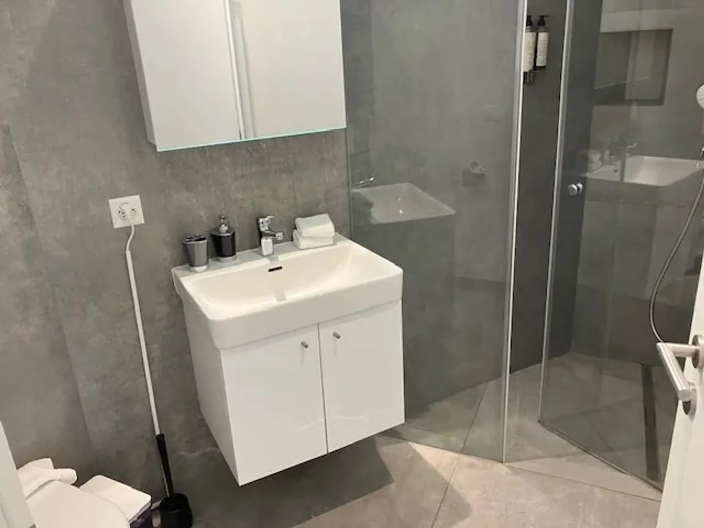 Renovated income property in the heart of Montreux, next to the Palace - Photo 12 of 12