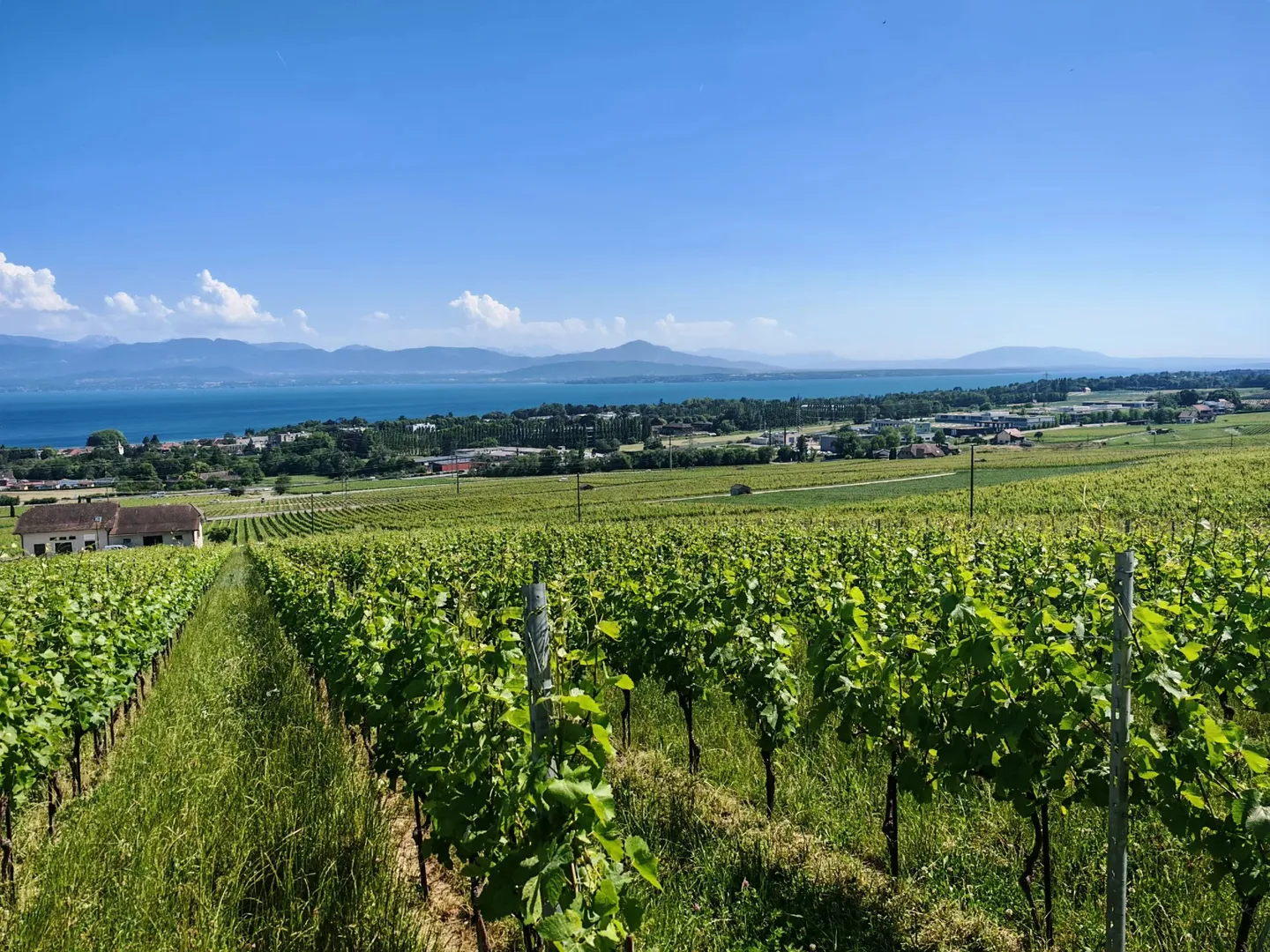 A-ONE BUSINESS CENTER | Uffici eccezionali nel cuore dell'arco del Léman - Foto 7 di 7