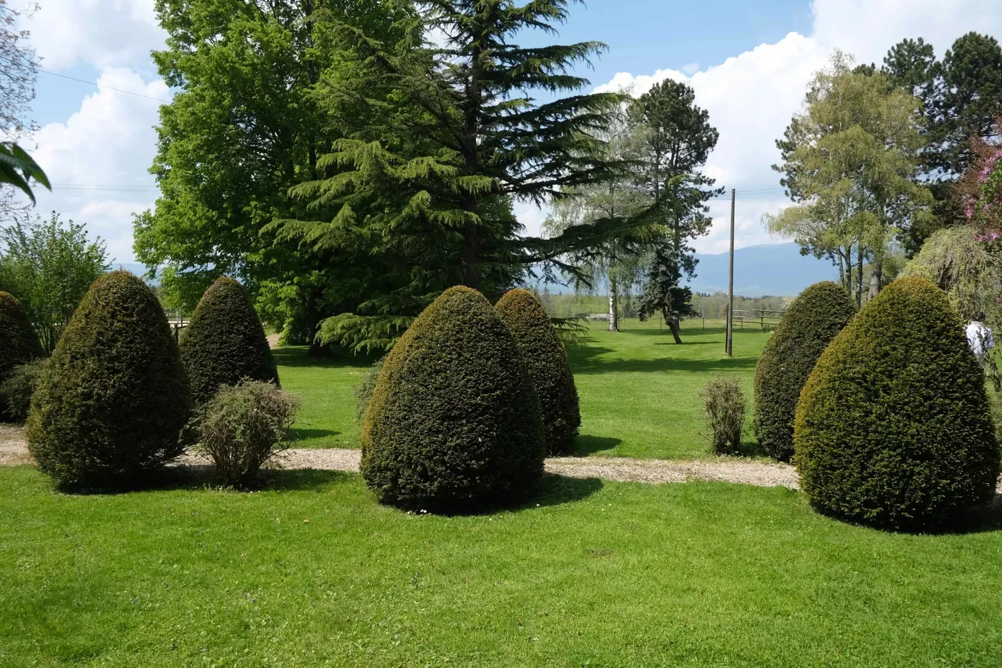 Magnificent land for 1 to 3 villas - 540 spb with park and dressage area - Photo 3 of 5