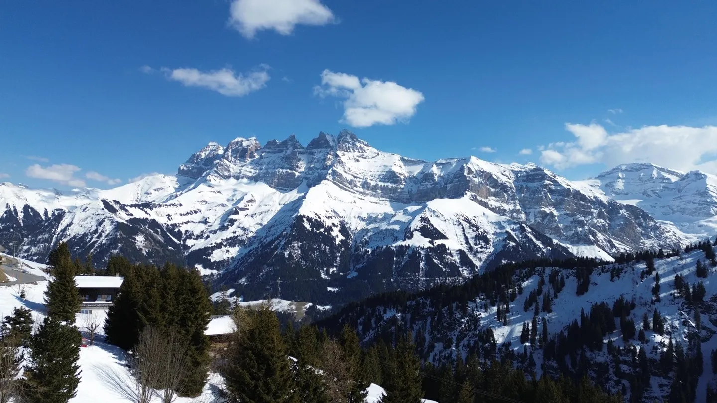 Family Chalet / Portes du Soleil / Les Crosets - Photo 13 of 13