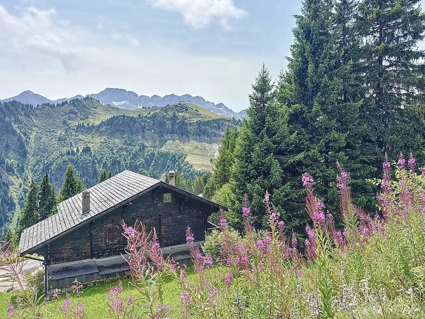 Familienchalet / Portes du Soleil / Les Crosets - Foto 12 von 12