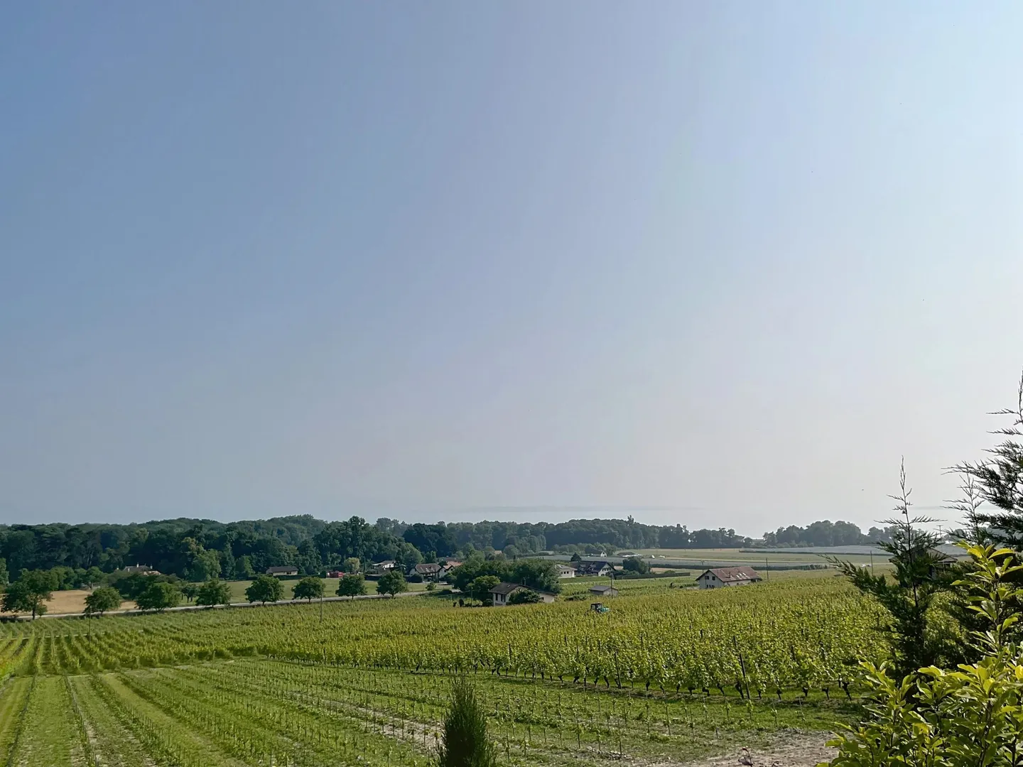 In Esclusiva: Bella villa nel cuore dei vigneti - Foto 13 di 13