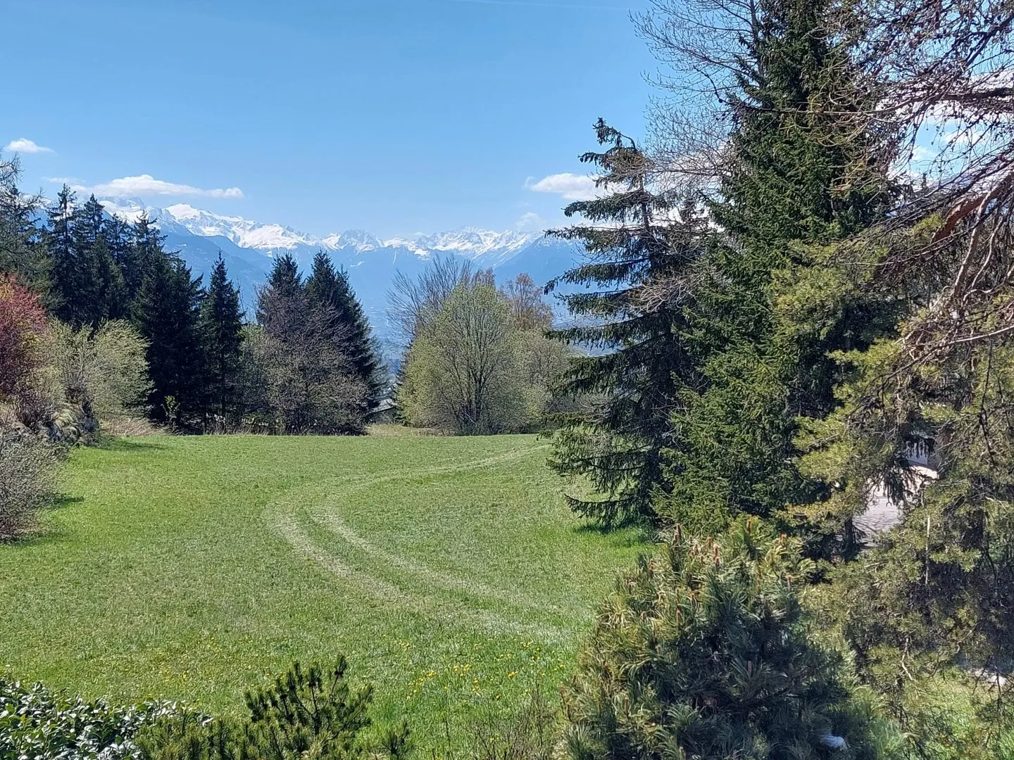 Rare Object - Charming and spacious chalet in Crans-Montana - Photo 7 of 12