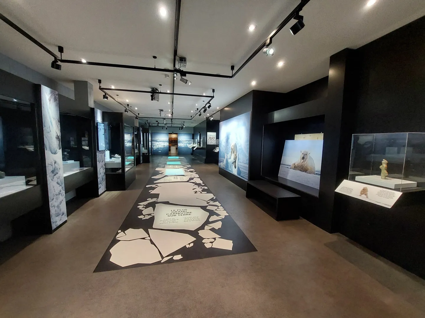 Local commercial au centre de Montana - Photo 6 of 7