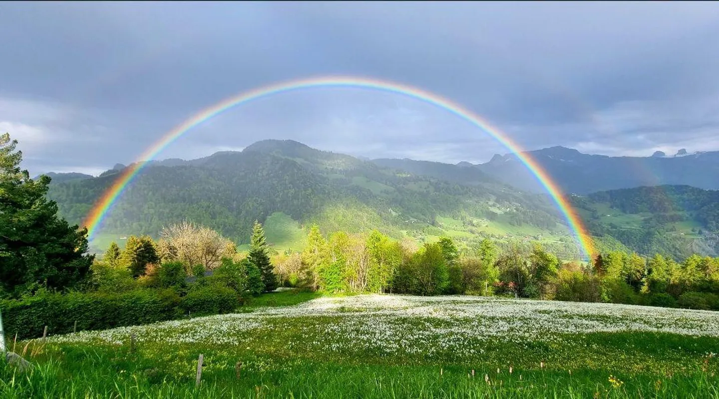 Chalet individuel à Blonay, Les Pléiades. sur 3'000 m² de parcelle - Photo 12 sur 12