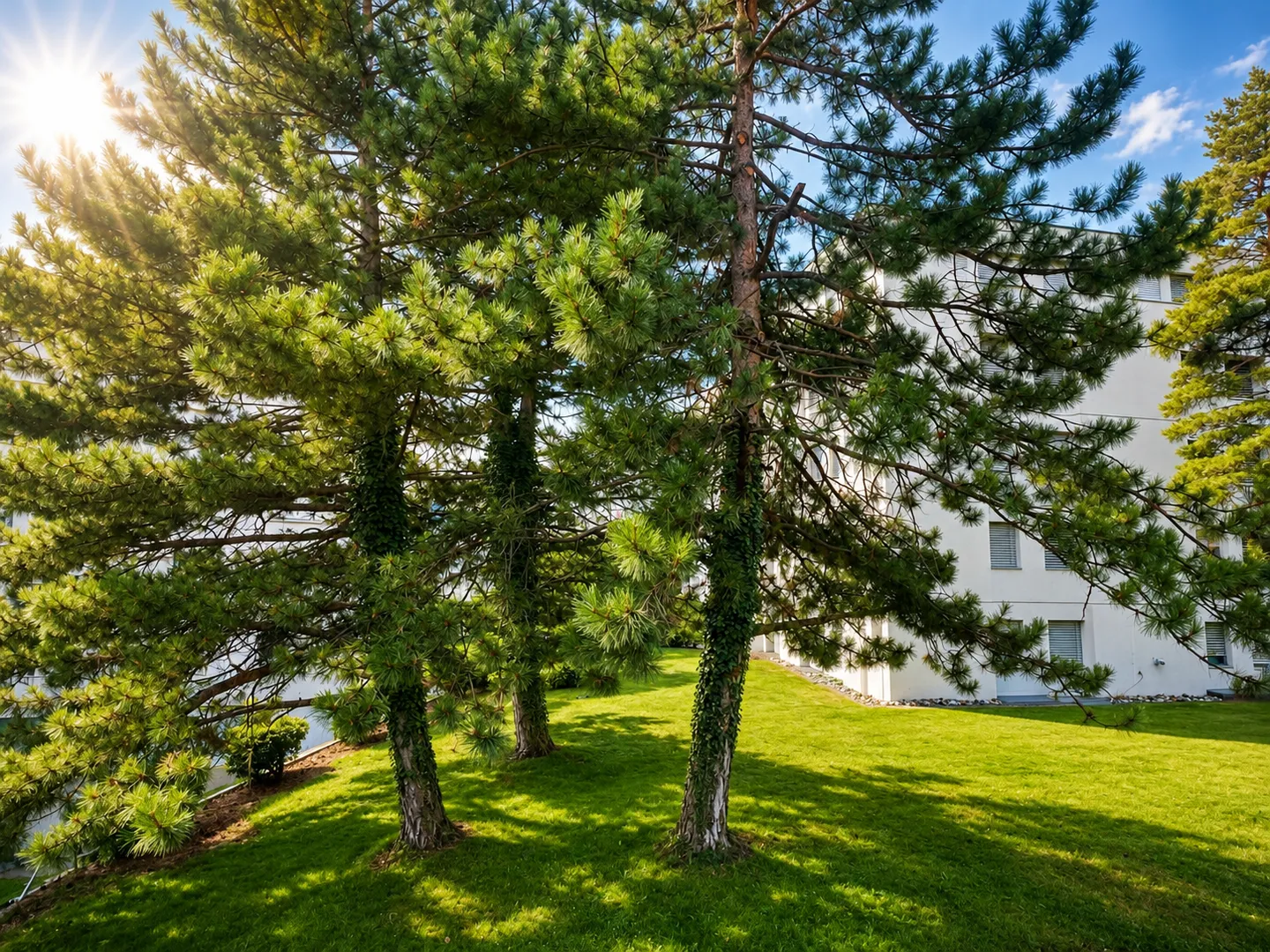 Magnificent modern 3.5-room apartment with large terrace in Sierre - Photo 11 of 13