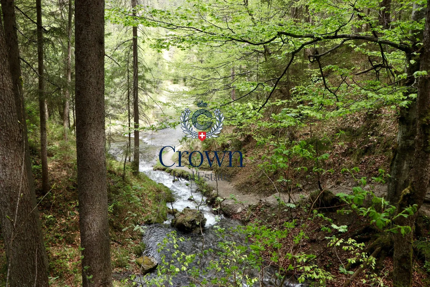 Cadre naturel et volumes généreux - Photo 1 sur 1