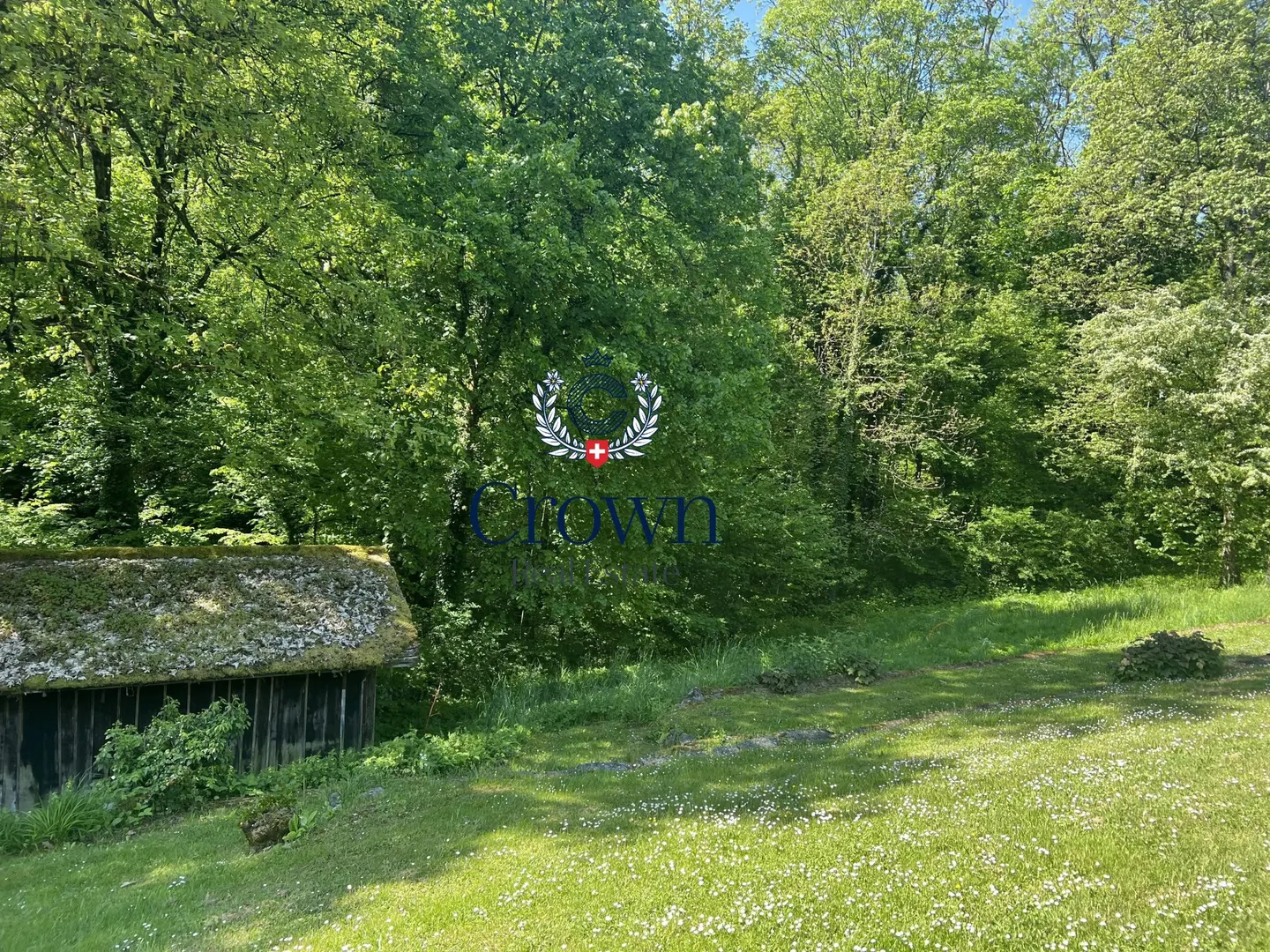 Bellevue, una casa a capanna, natura a perdita d'occhio - Foto 1 di 2