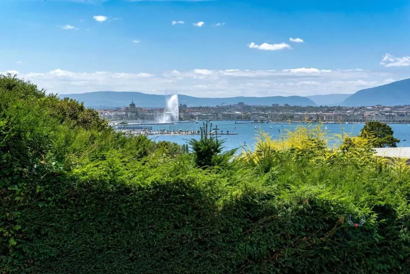 Tra il lago e il centro di Ginevra! - Foto 1 di 1