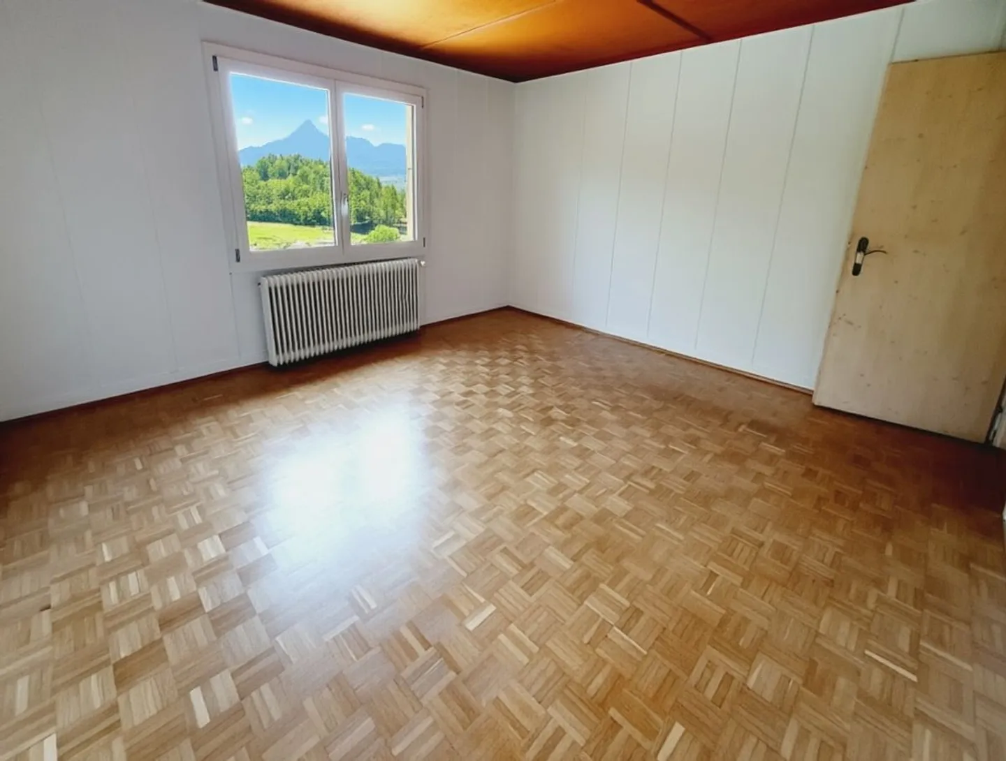 Magnificent chalet and large land - view of the Dents du Midi - Photo 10 of 13