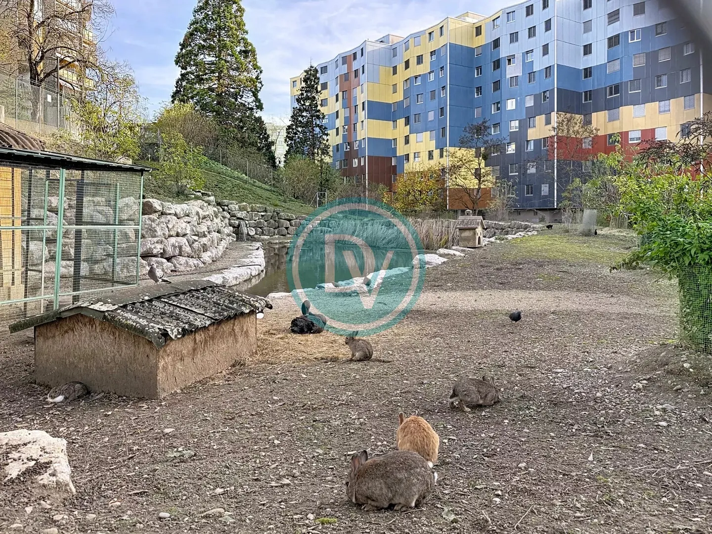 Ampio appartamento di 4 stanze - Casatax - Foto 13 di 13