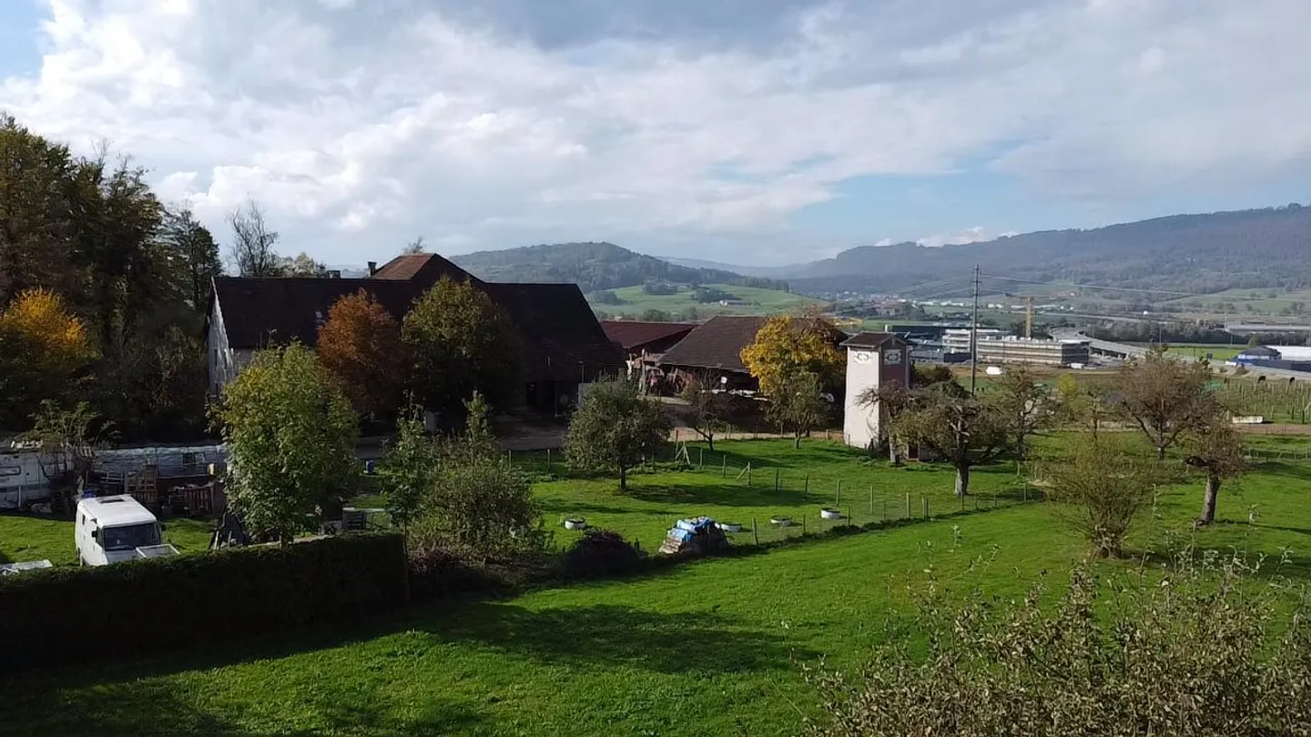 Appartamento di 3,5 locali Minergie P - Foto 5 di 7