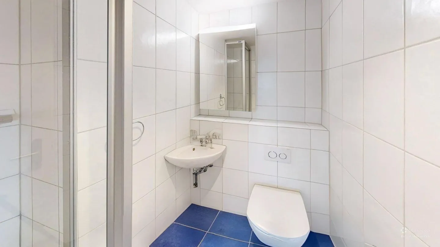 5.5-Room Penthouse Dream in Bern - Photo 10 of 13