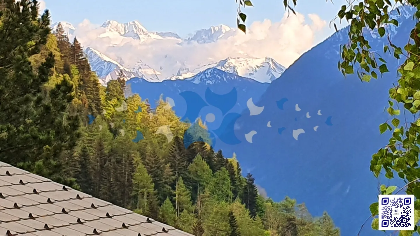 Appartement de 3.5 pces à Morcles avec vue sur le Mont-Blanc - Photo 3 sur 3