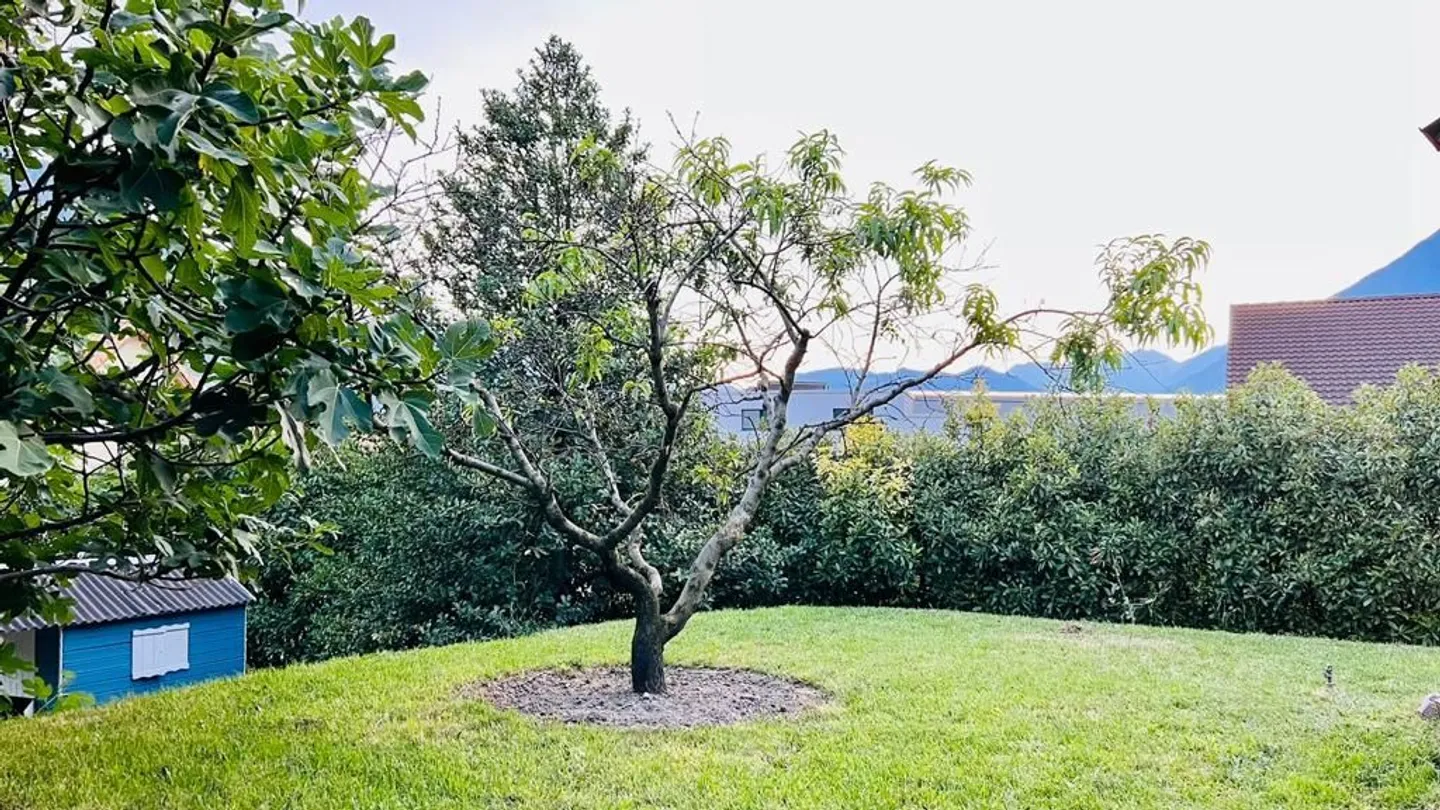Charmante Villa mit großem Garten - Foto 1 von 13