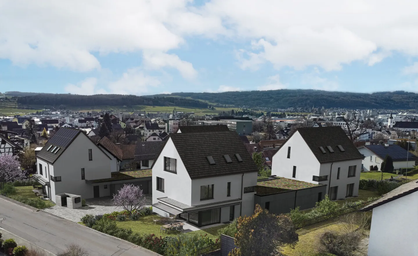 Family Home in Premium Location - Photo 7 of 7