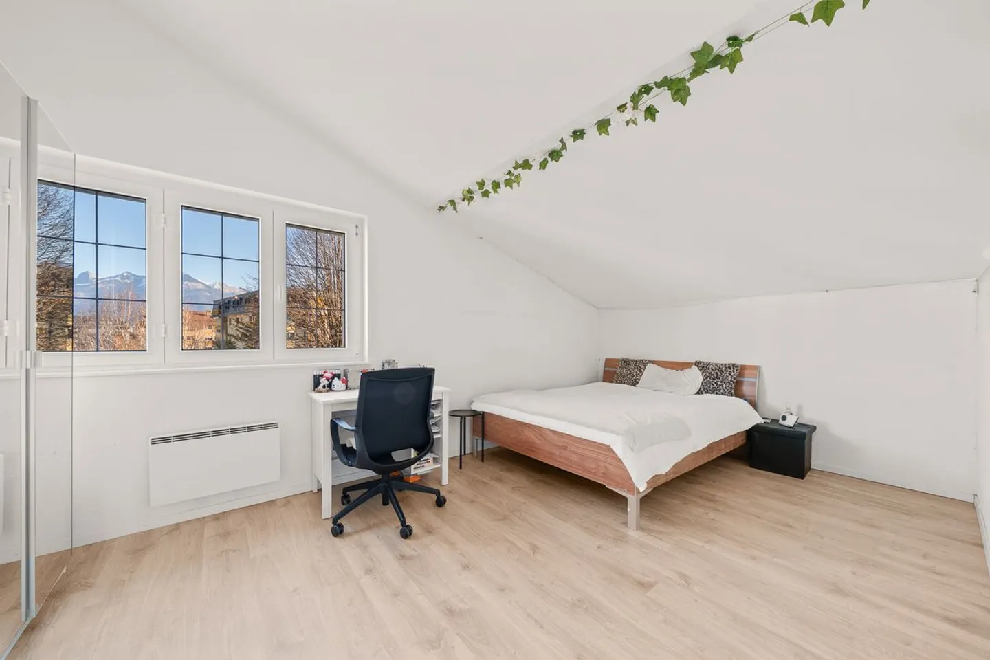 Magnificent Villa, with independent apartment and rental income - Photo 8 of 13