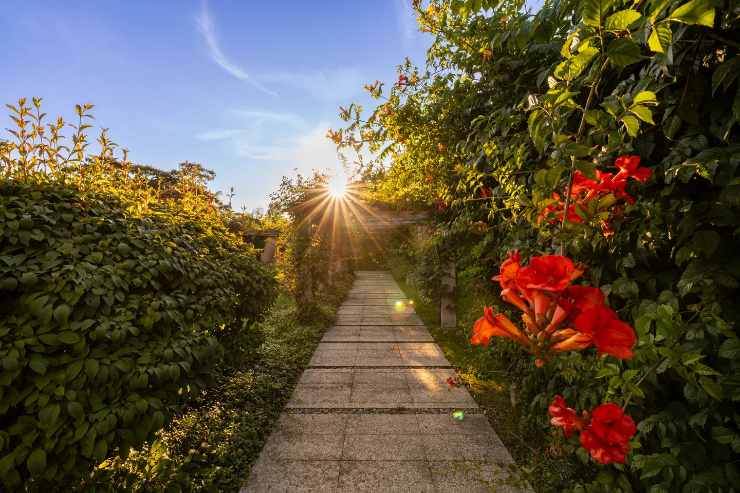 Exceptional retreat on two hectares near Lausanne - Photo 2 of 8