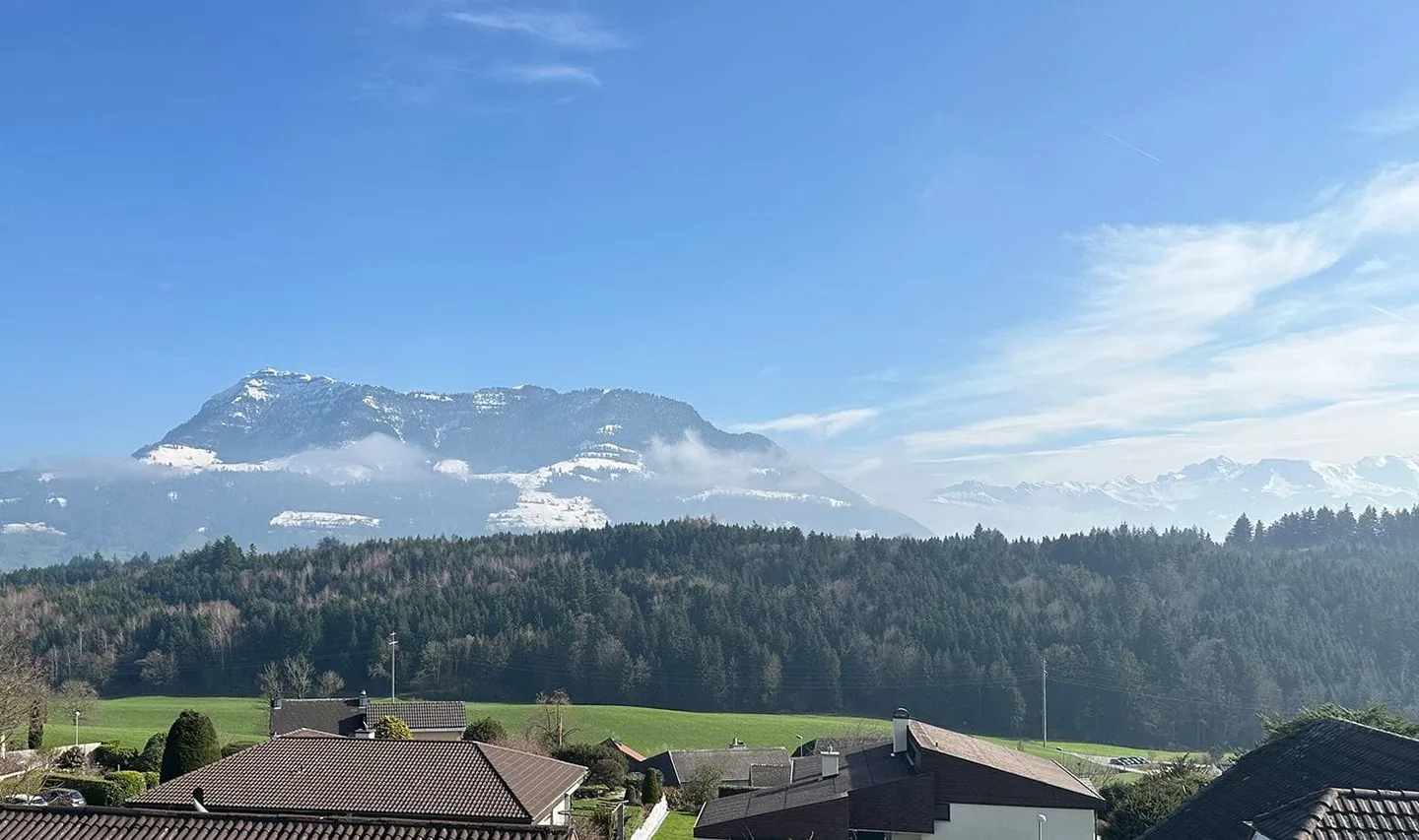 Luxus-Duplex mit Rigi-Blick - Foto 8 von 13
