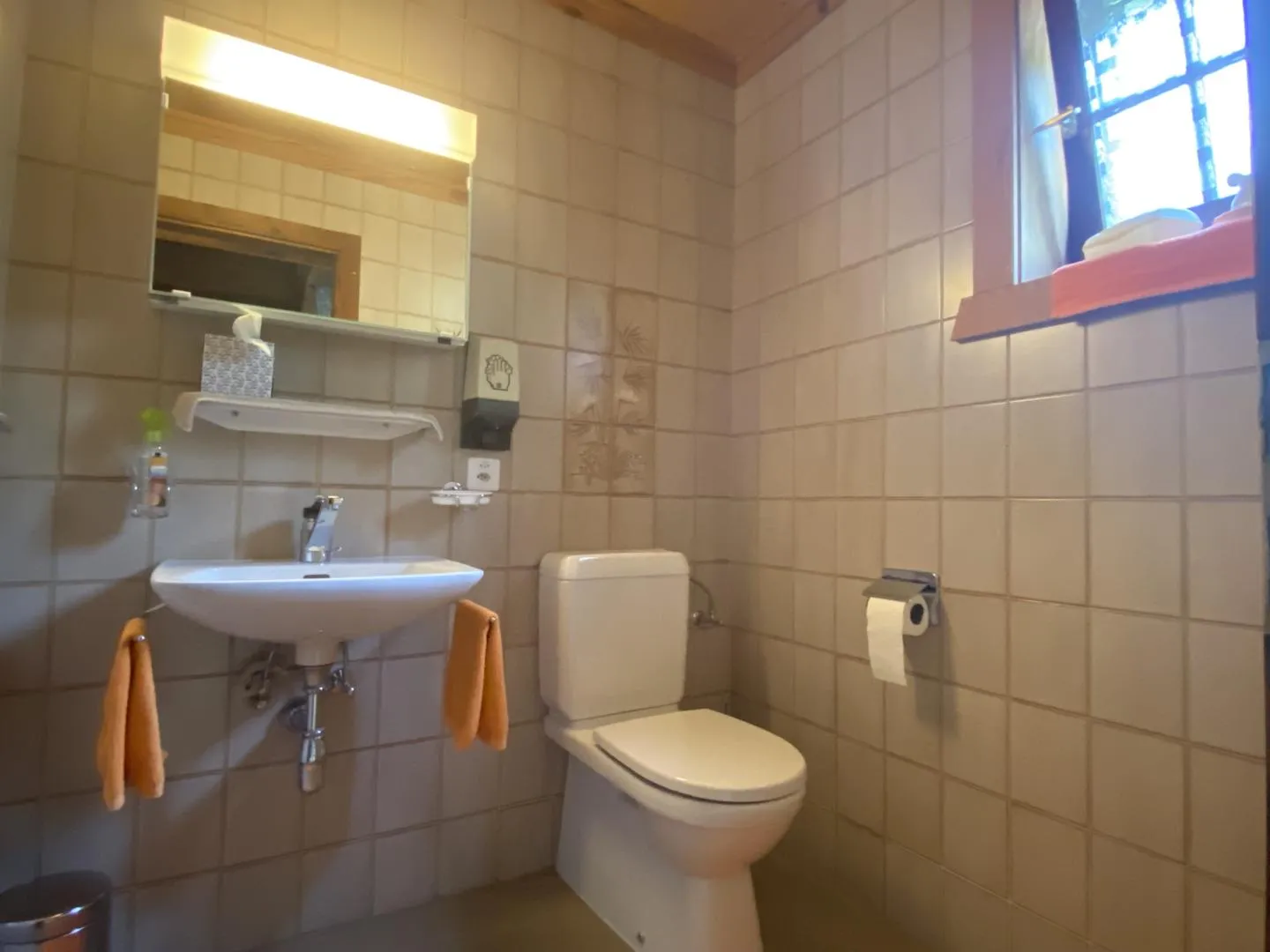 Grimisuat - magnificent individual chalet with exceptional outdoor space - Photo 6 of 13