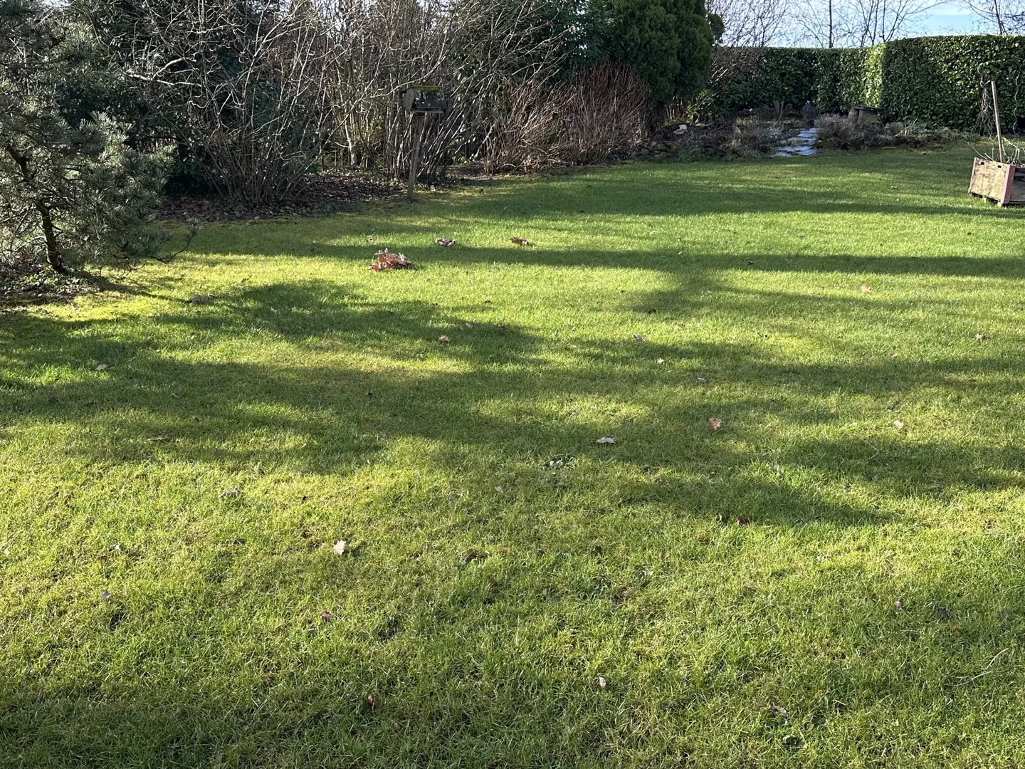 Charming Detached Villa with Potential - Photo 7 of 7