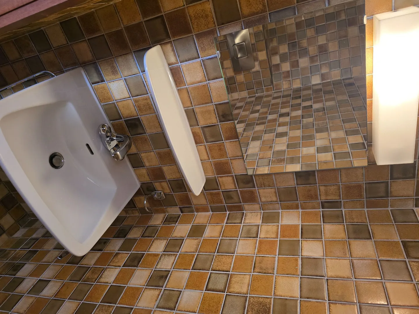 Charming Duplex Apartment in Sion - Photo 6 of 13