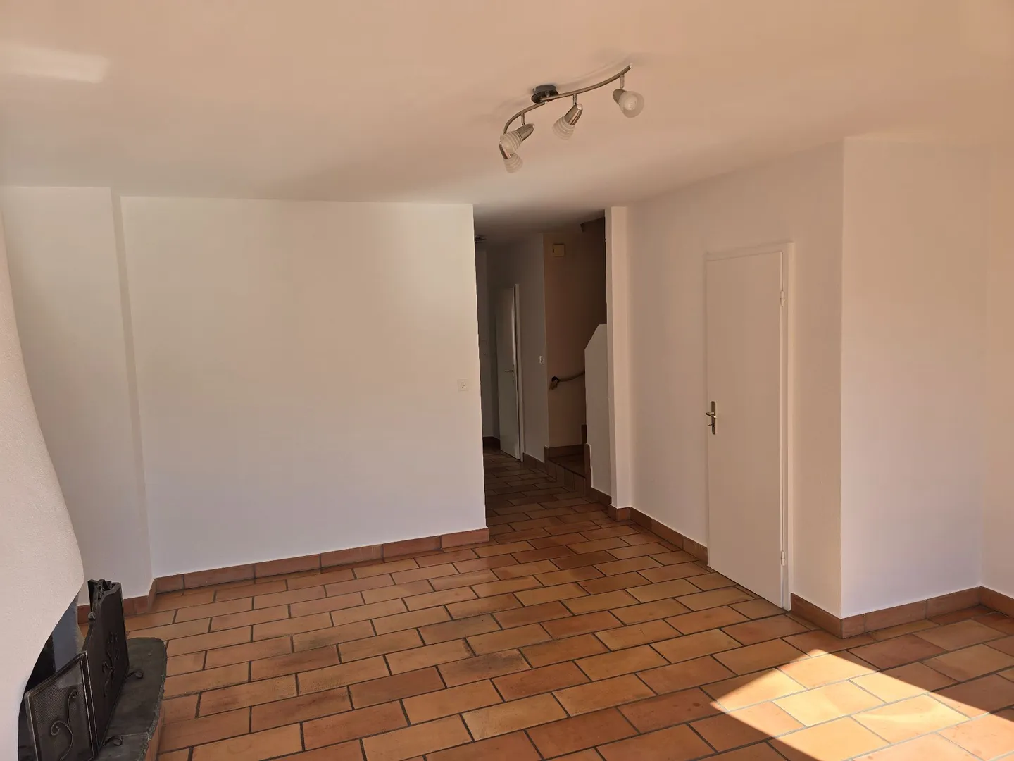 Charming Duplex Apartment in Sion - Photo 4 of 13