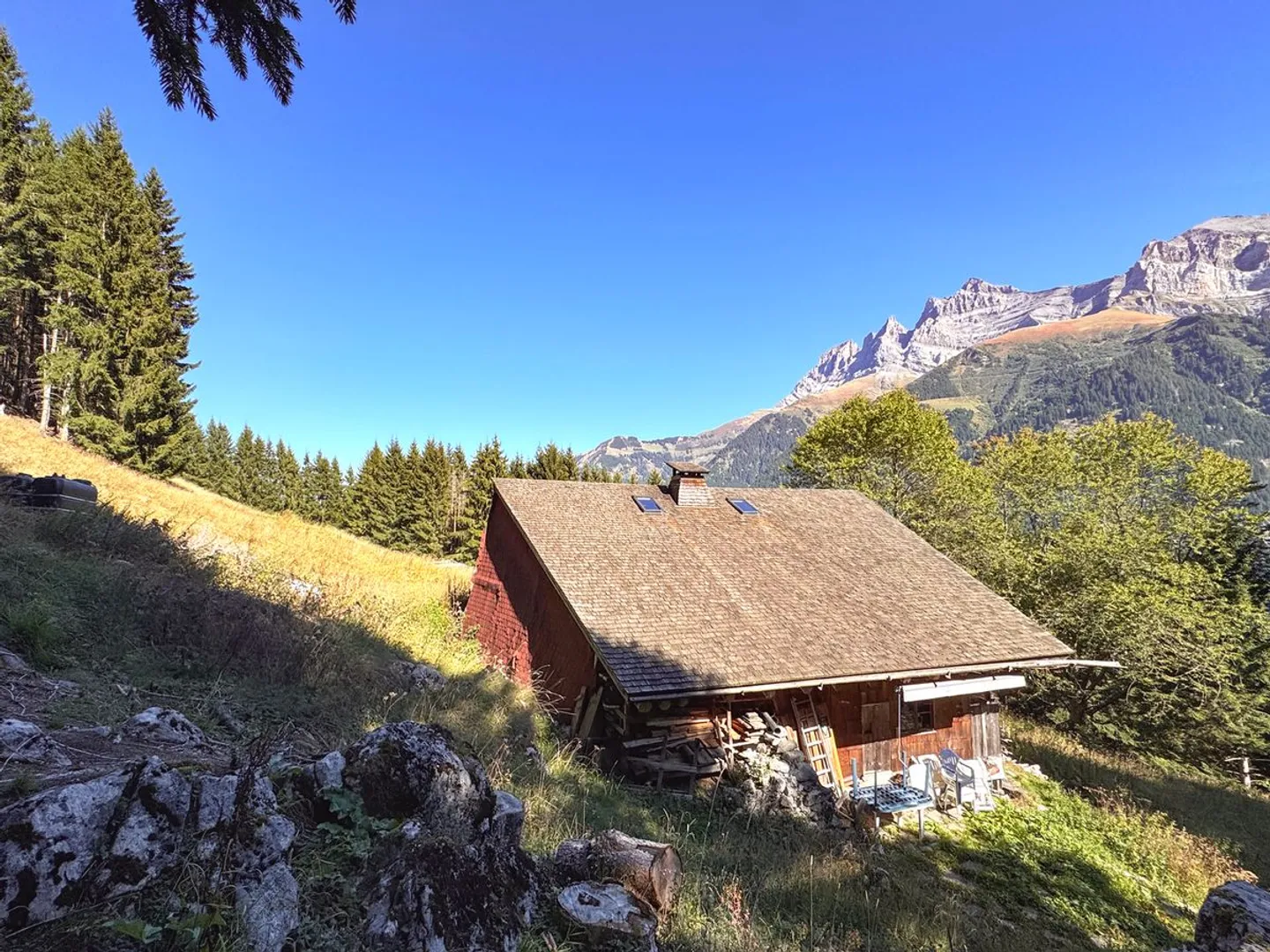Rare find - 7.5-room chalet nestled in 28,000 m² of forest and meadow. - Photo 1 of 13