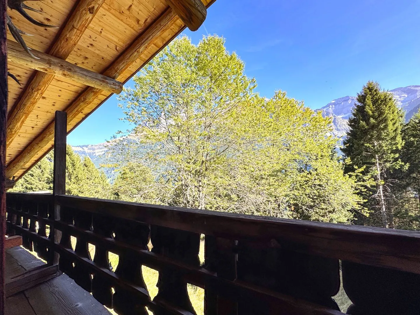 Rare find - 7.5-room chalet nestled in 28,000 m² of forest and meadow. - Photo 9 of 13