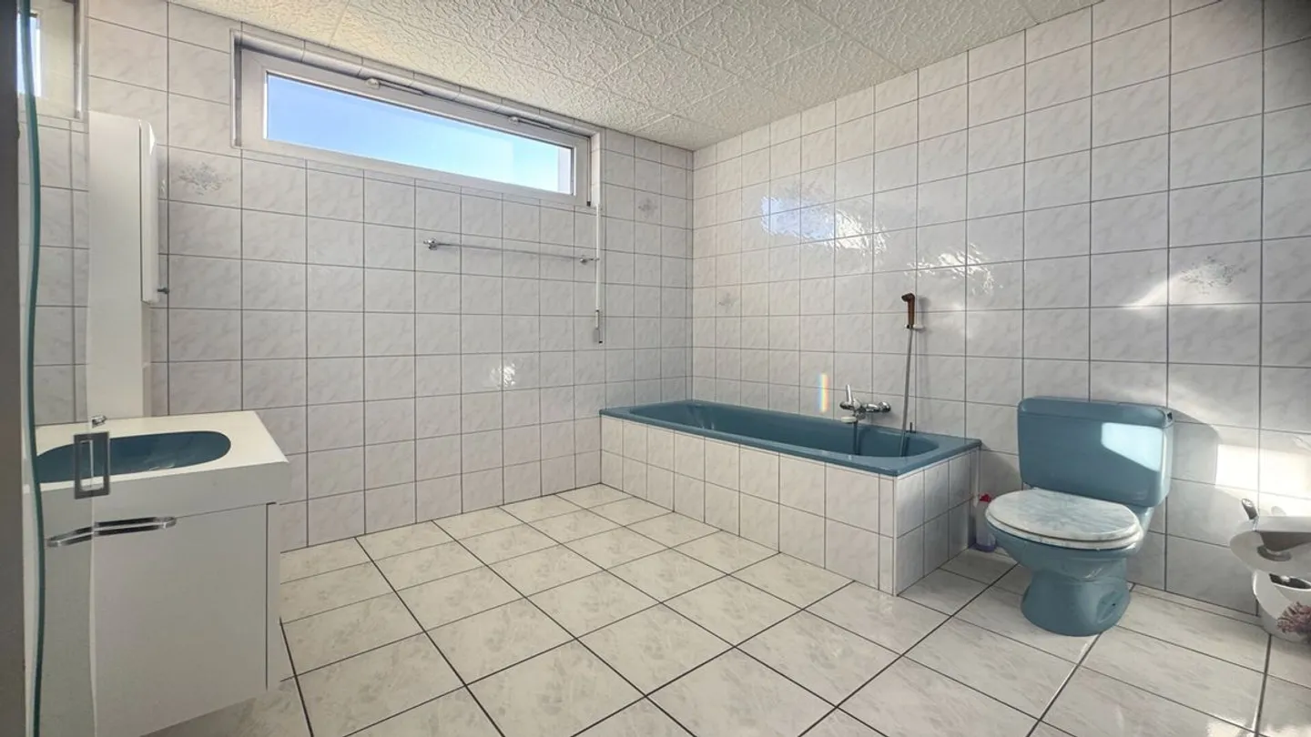 Halls artigianali, già affittate, e un appartamento di 5,5 stanze. - Foto 13 di 13