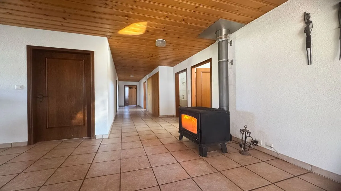 Halls artigianali, già affittate, e un appartamento di 5,5 stanze. - Foto 11 di 13