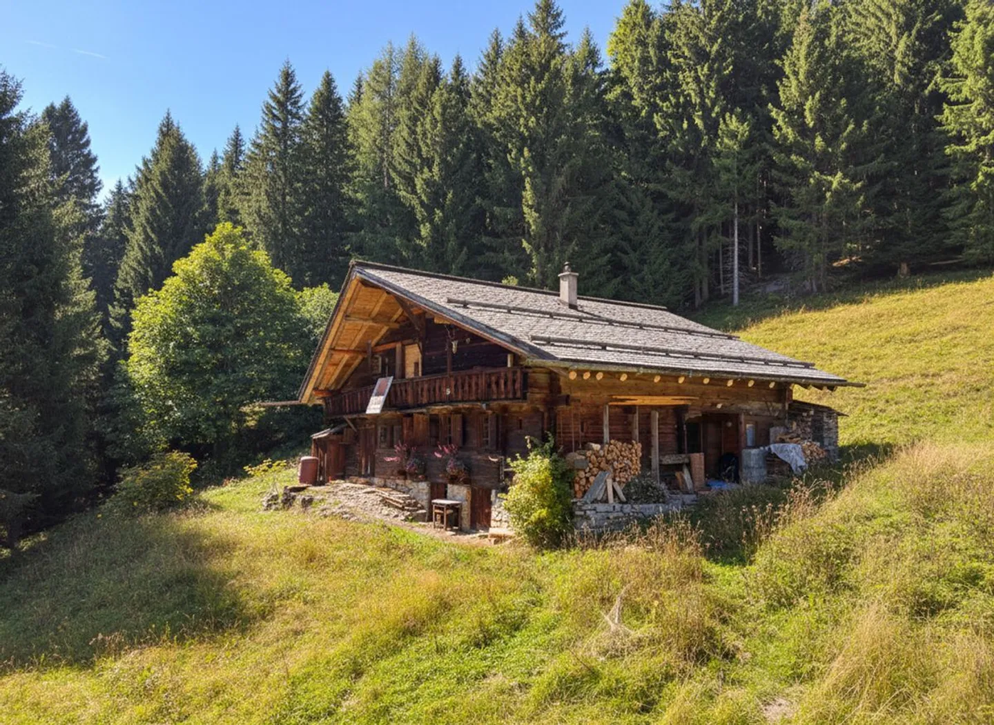 Rare find - 7.5-room chalet nestled in 28,000 m² of forest and meadow. - Photo 1 of 13