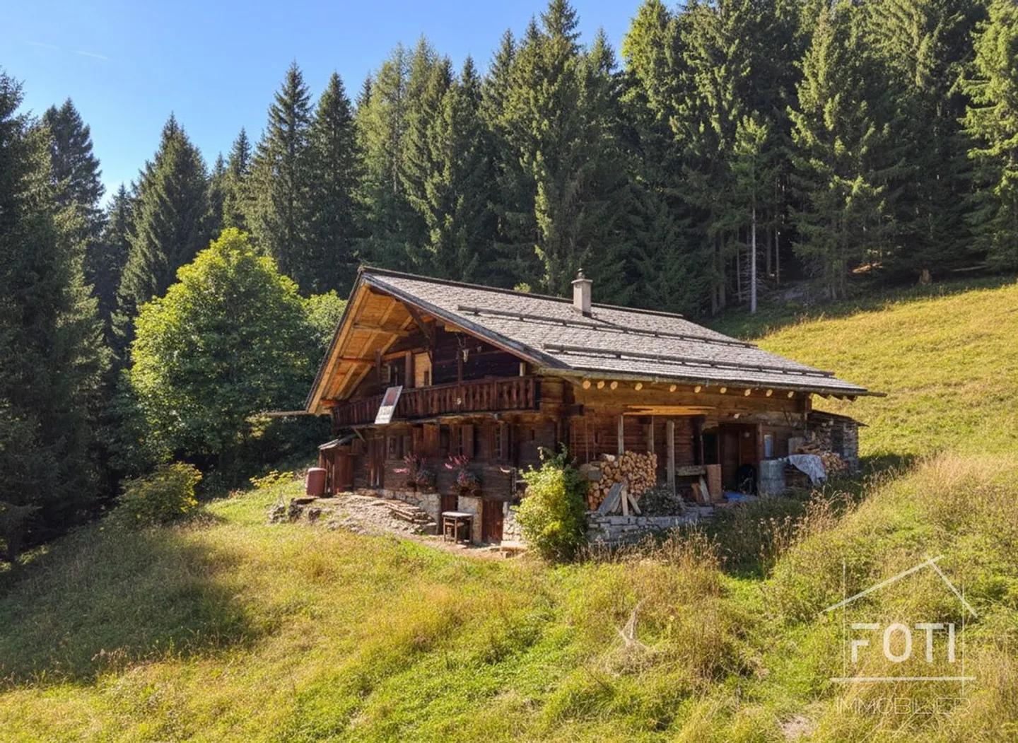 Proprietà rara - Chalet di 7,5 stanze immerso in 28.000 m² di foresta e prato. - Foto 2 di 13
