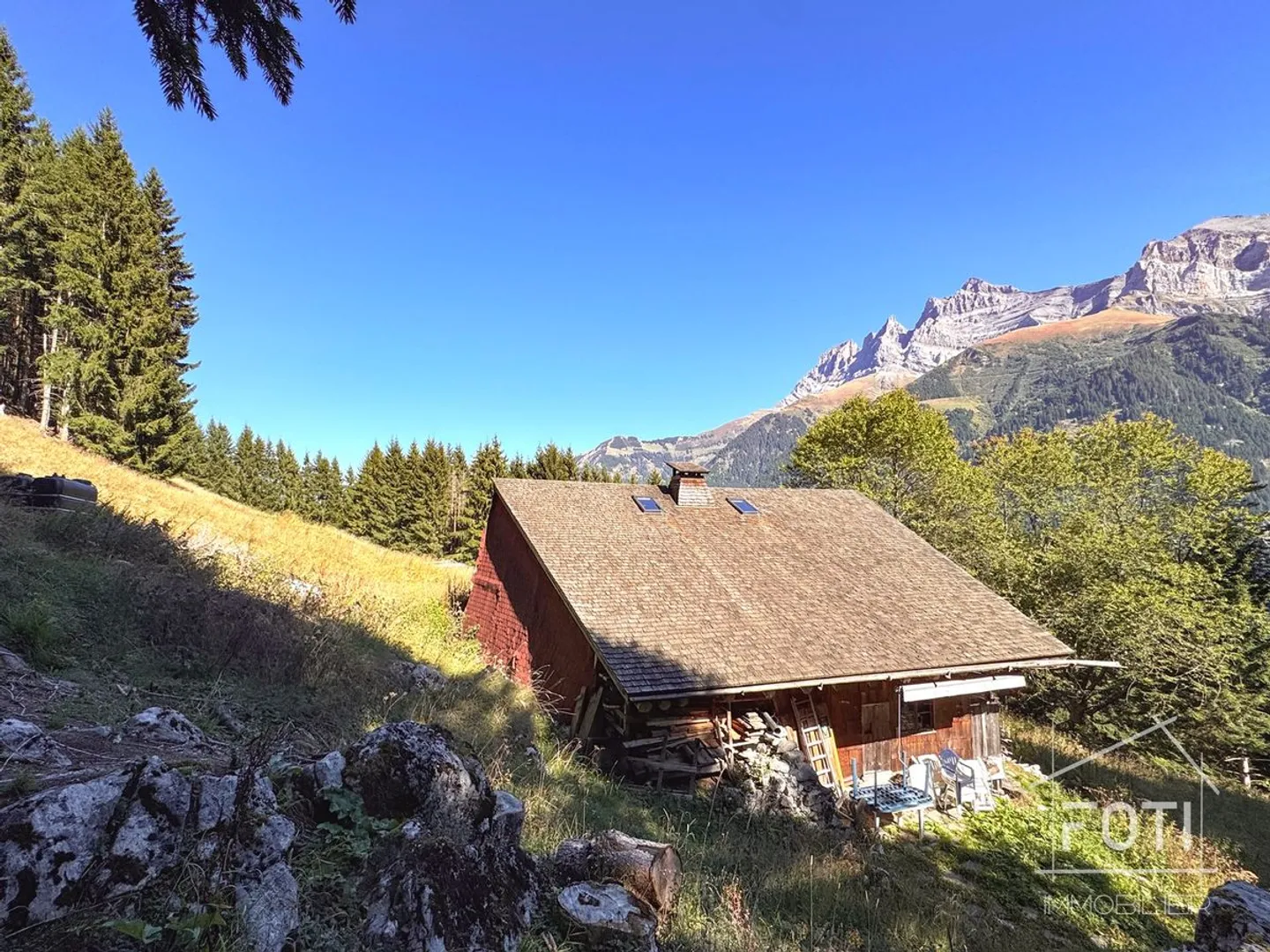 Rare property - 7.5 room chalet nestled in 28,000 m² of forest and meadow. - Photo 1 of 13