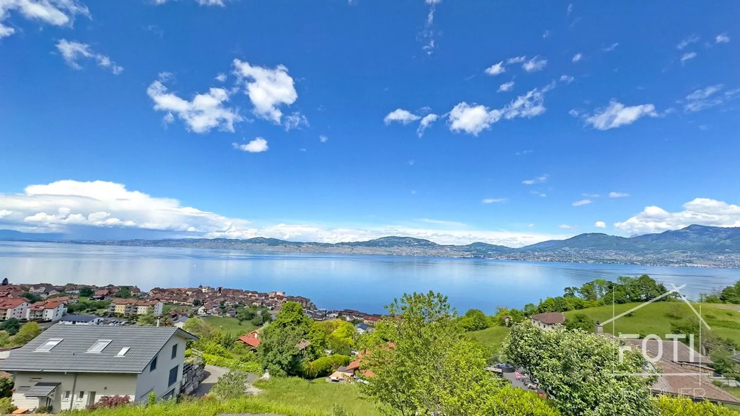Architect-designed villa with stunning views of Lake Geneva - Photo 8 of 13