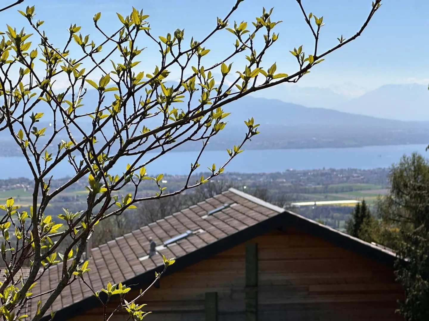 Luce e volumi - Una villa eccezionale di fronte al Lago di Ginevra - Foto 1 di 12