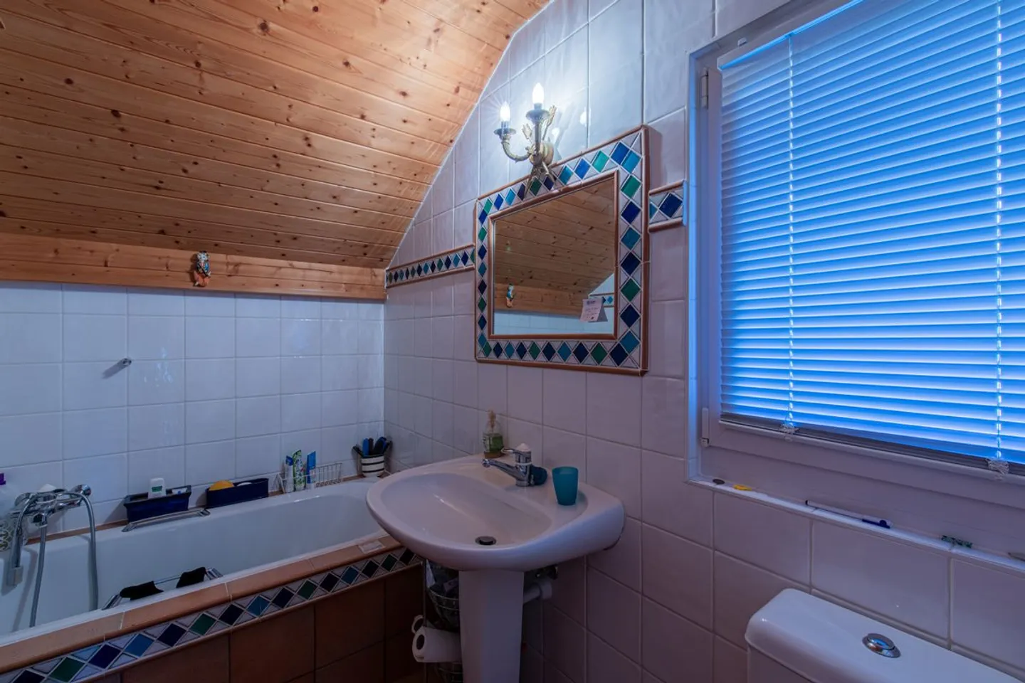 Individual villa near Lausanne - Photo 10 of 13