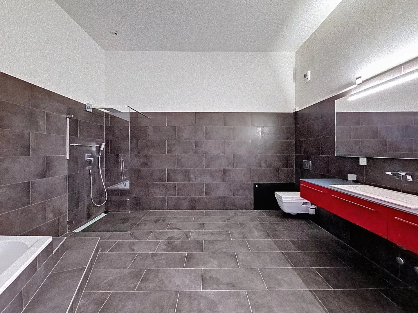 Loft-Stil Wohnung in der Nähe des Zentrums von Lausanne - Foto 8 von 9