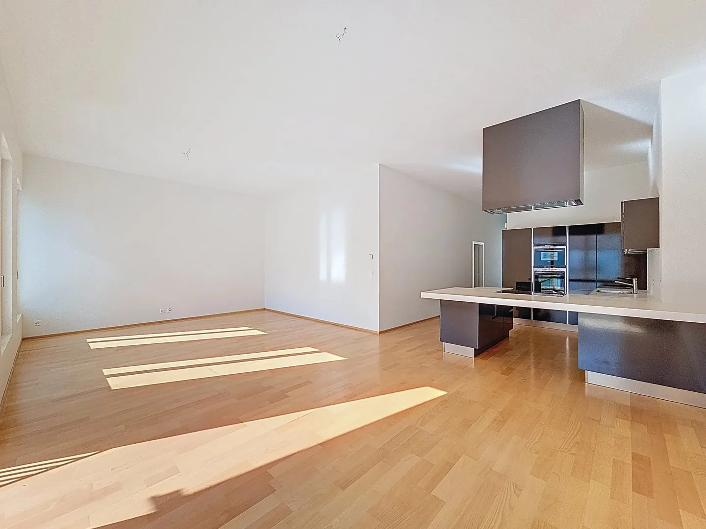 Loft-Stil Wohnung in der Nähe des Zentrums von Lausanne - Foto 2 von 9
