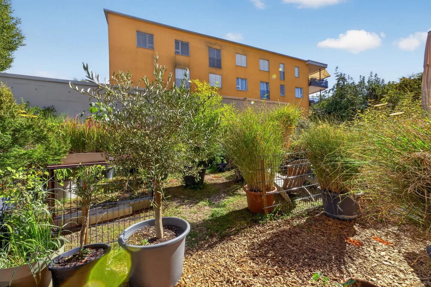 Spacious Garden Apartment - also an Attractive Investment - Photo 11 of 13
